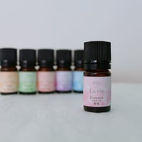 Florence 〜フロランス〜　開花