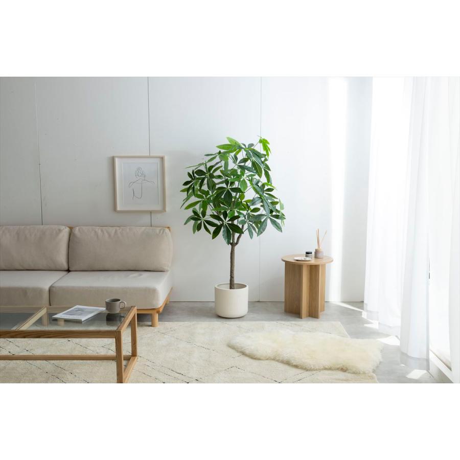 高さ150cm】Nature 光触媒人工観葉植物 パキラ | メイツウEC