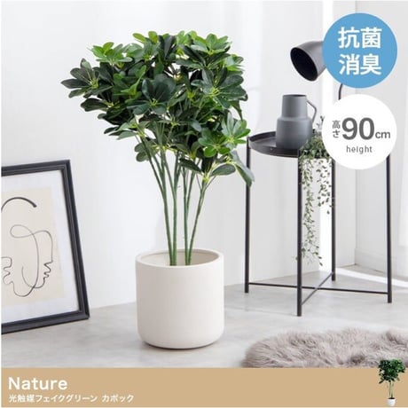 【高さ90cm】Nature 光触媒人工観葉植物 カポック
