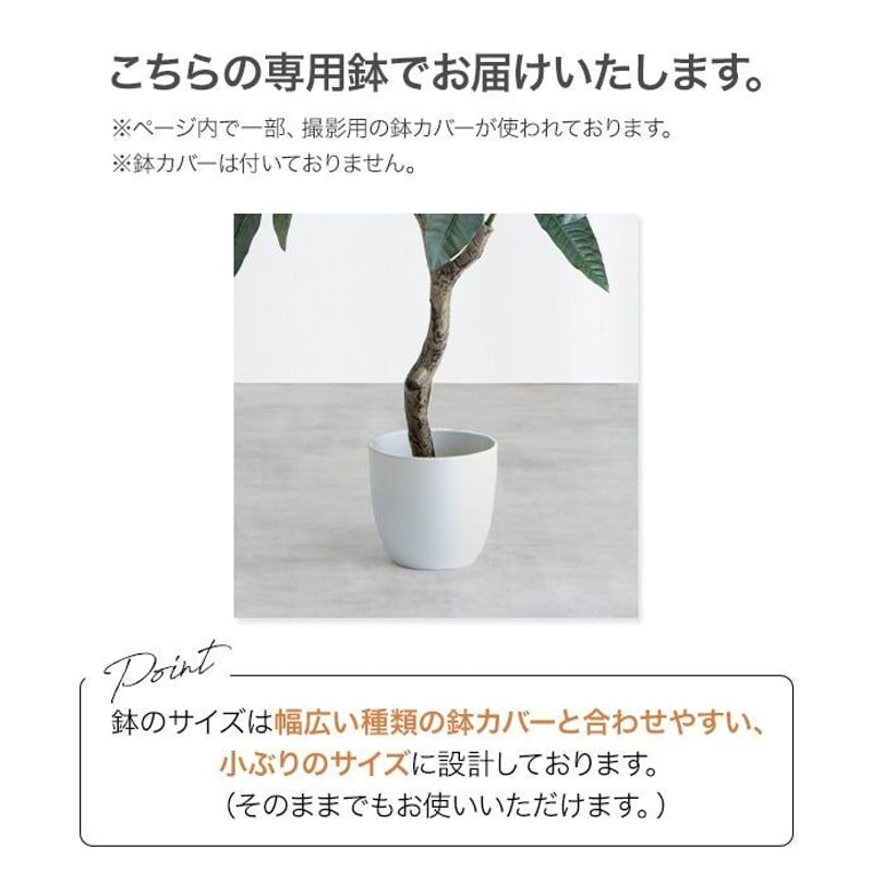 高さ90cm】Nature 光触媒人工観葉植物 カポック | メイツウEC 高さ90cm】Nature 光触媒人工観葉植物 カポック | メイツウEC