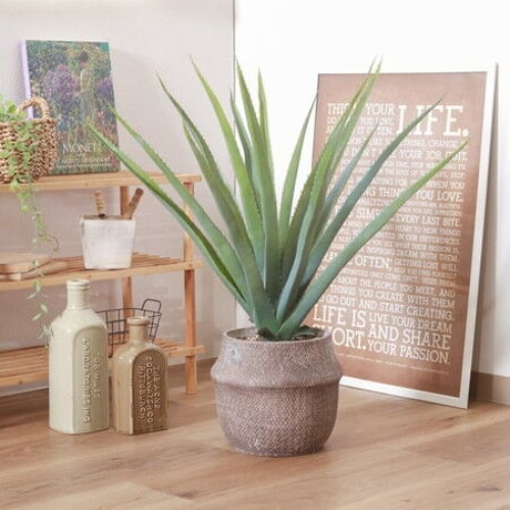 フェイクグリーンインテリア | STORES