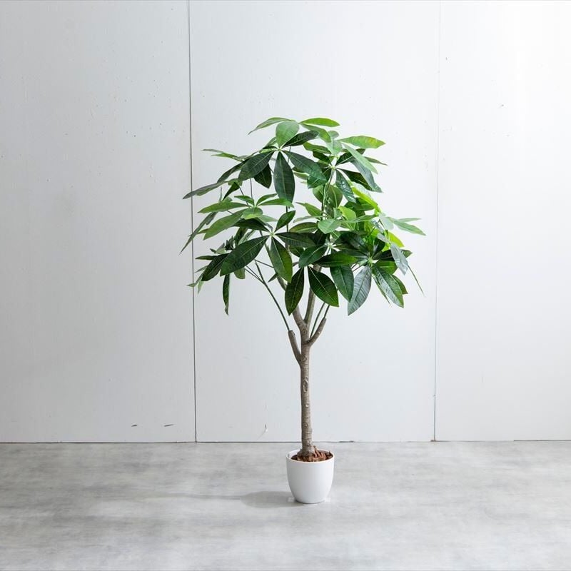 高さ120cm】Nature 光触媒人工観葉植物 パキラ | メイツウEC