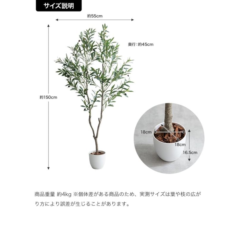 高さ150cm】Nature 光触媒人工観葉植物 オリーブ | メイツウEC