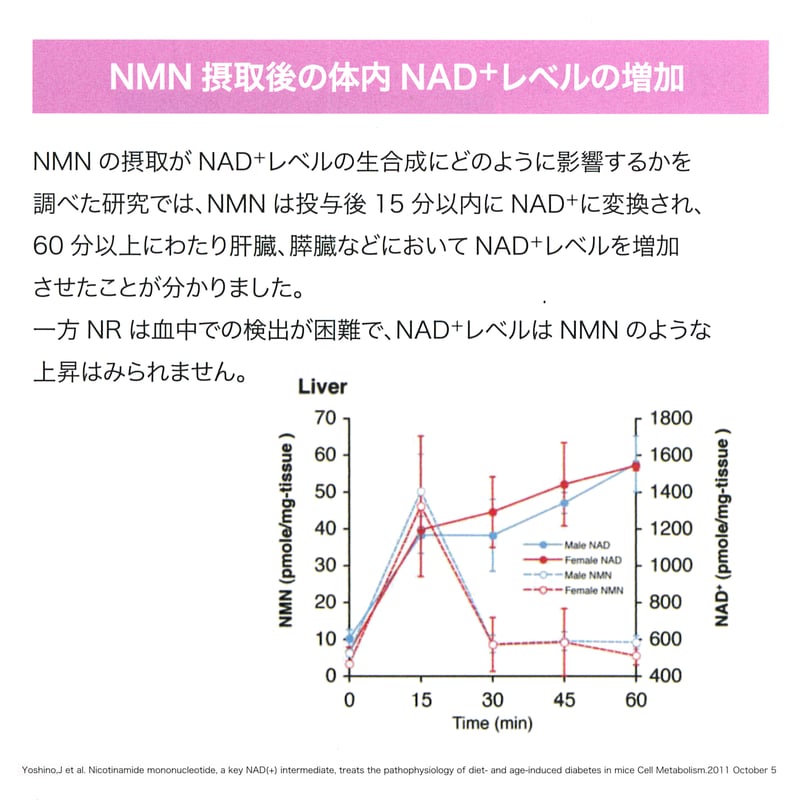 NMN QOL プレミアム｜老化にブレーキ、若返りに加速！NMN純度99.9 