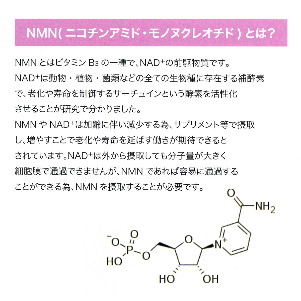 NMN QOL プレミアム｜老化にブレーキ、若返りに加速！NMN純度99.9 