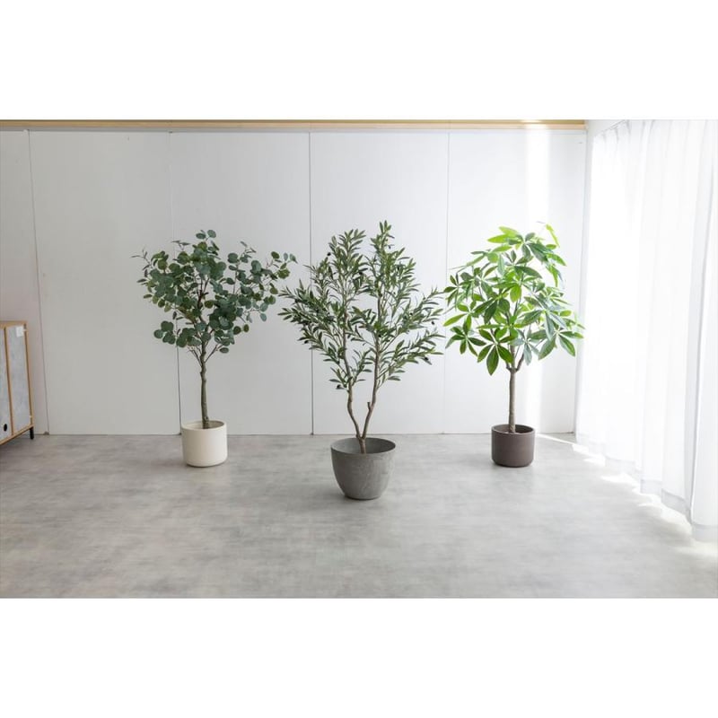 2点、観葉植物　専用 楽天市場】観葉植物 育成ライト ミニ 2点セット 正規取扱い店