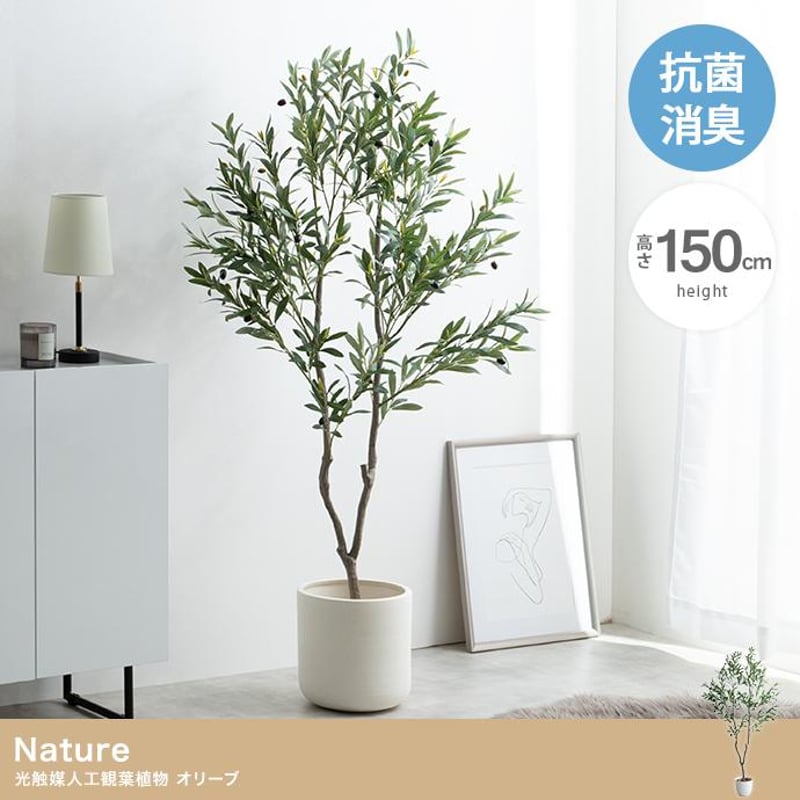 2点、観葉植物　専用 Amazon.co.jp: Mcbazel 植物LED育成ライト・観葉植物用ライト