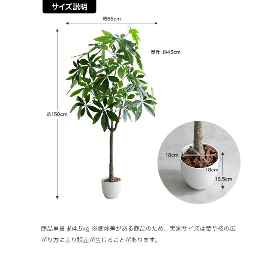 高さ150cm】Nature 光触媒人工観葉植物 パキラ | メイツウEC