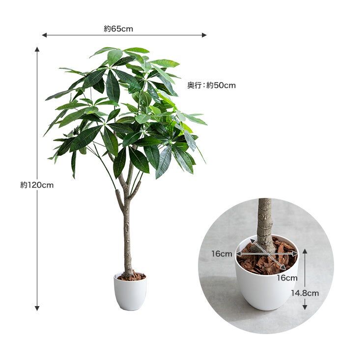 高さ120cm】Nature 光触媒人工観葉植物 パキラ | メイツウEC