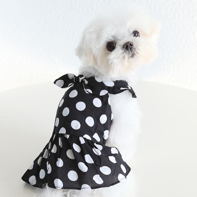 no.737 ハンドメイド 犬服 【公式通販】