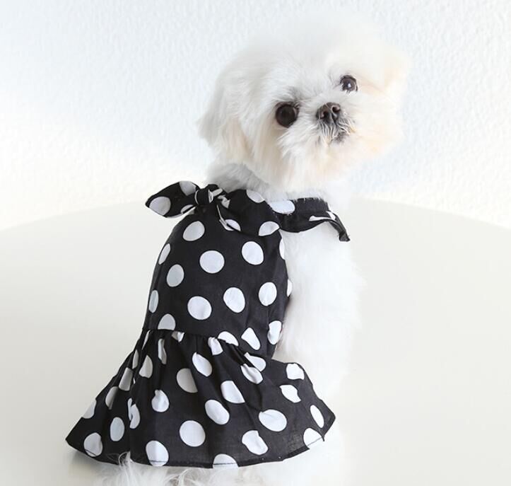 専用○犬服○ハンドメイド 胴34 NO.575 【公式通販】 専用○犬服○ハンドメイド 胴34 NO.575 【公式通販】