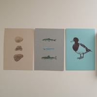 post card No.6 Biwa-water／etohako
