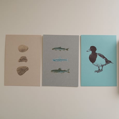 post card No.6 Biwa-water／etohako