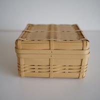 雨絣（正方M 蓋あり）