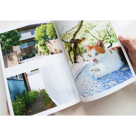 ■写真集2冊セット「茶柱～おかわり～」「ねむりるり」送料無料【セット数量限定】