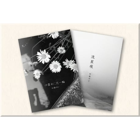 ■写真集 2冊セット「四畳半に花一輪」「流星痕」送料無料