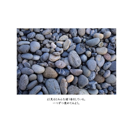 ■写真集「四畳半に花一輪」送料無料