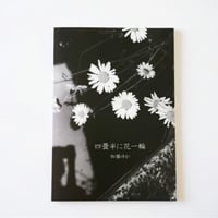 ■写真集「四畳半に花一輪」送料無料