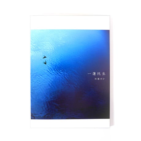 ■写真集3冊セット「君が袖振る」「流星痕」「一蓮托生」送料無料【残り2】