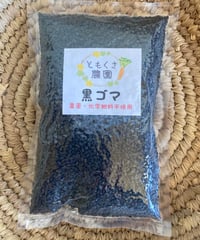 洗い黒ゴマ(100g)