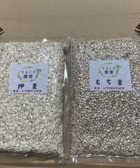麦パック　もち麦・押し麦
