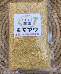 もちアワ　1合パック