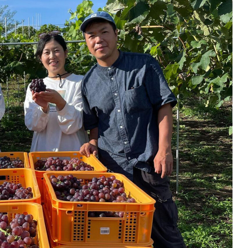 葡萄です。 All Products – Zē Wines