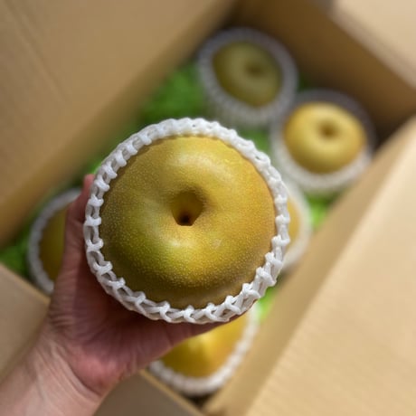 【幸水（和梨）】贈答用