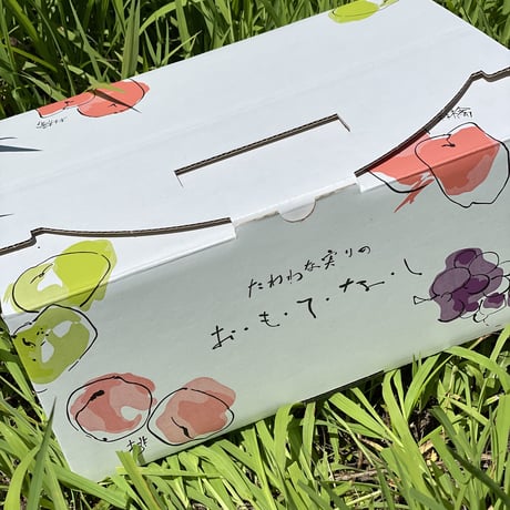 【幸水（和梨）】贈答用