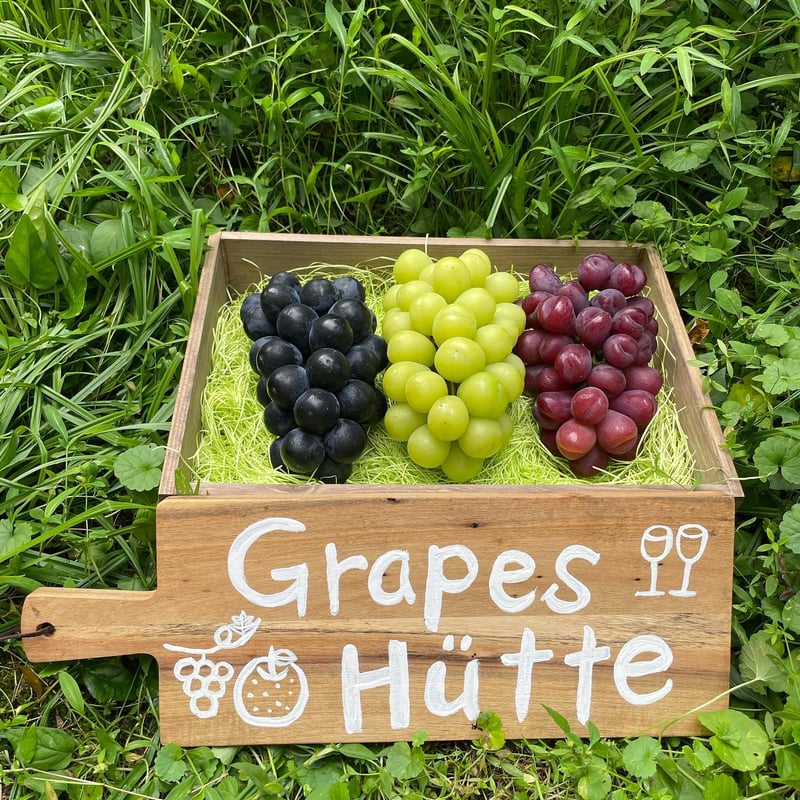 3種のブドウセット | GrapesHütte