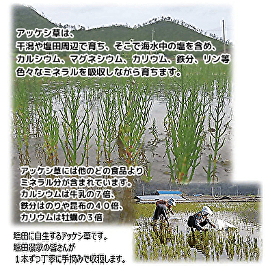 6268bd5684ec6e48398fc217
