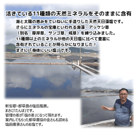ミネラルたっぷり  함초소금　　　　　　　　アッケシ草塩