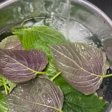 干し大根キムチ　　　　　　　（えごまの葉入り）150ｇ