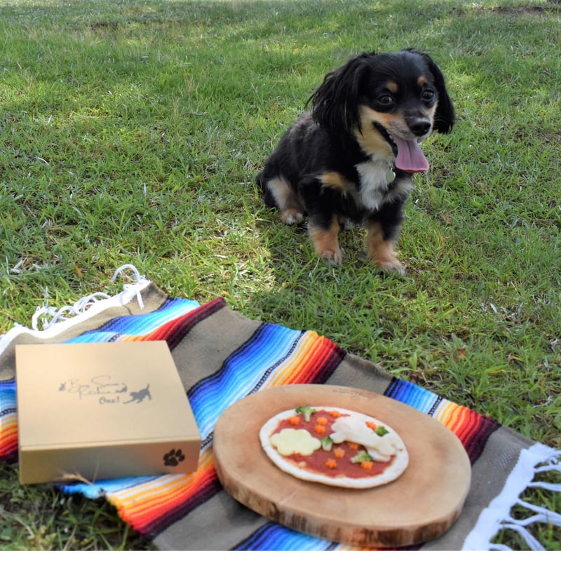 わんちゃんのネームプレート付き】わんわんピザクリスピー わんちゃん