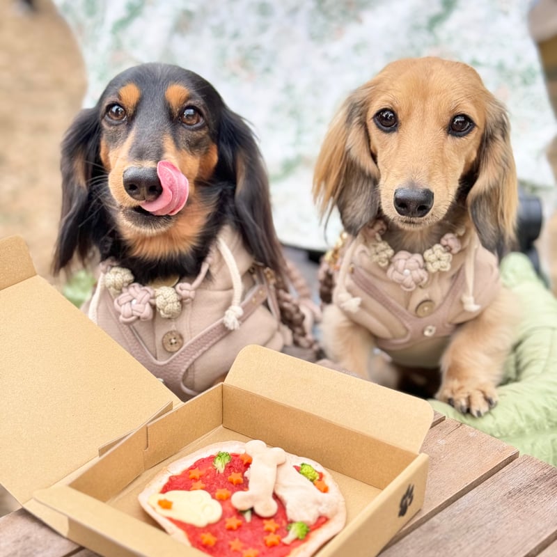 わんちゃんのネームプレート付き】わんわんピザクリスピー わんちゃん