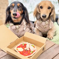 【わんこと一緒♪】わんこと一緒に楽しめるセット！贈り物やご自宅にも♪冷凍クリスピーピザ ４枚＋犬用ピザ１枚