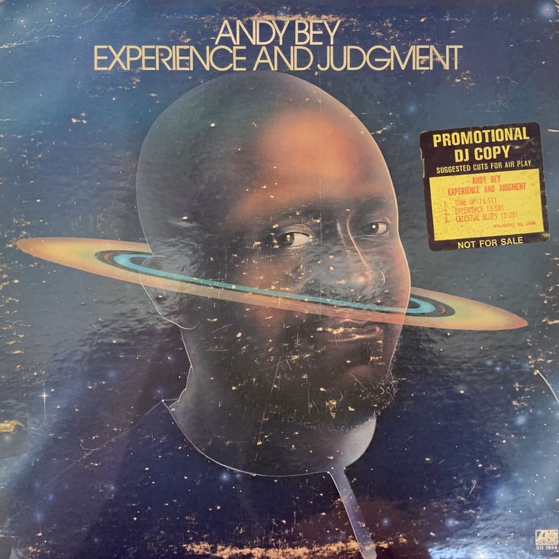 Andy Bey / Experience And Judgment (LP) | MIZO