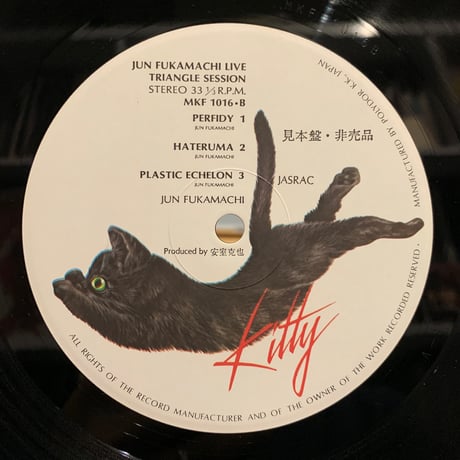 深町純 / Triangle Session (LP)