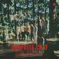Surprise Chef/ Friendship (LP)