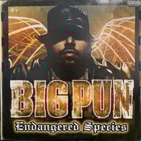 Mobb Deep / The Infamous (2LP) | MIZO