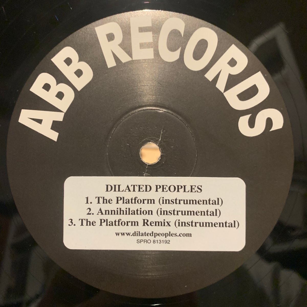 Dilated Peoples / The Platform (12