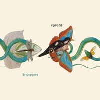 SPECHT / TRIPTYQUES (LP)
