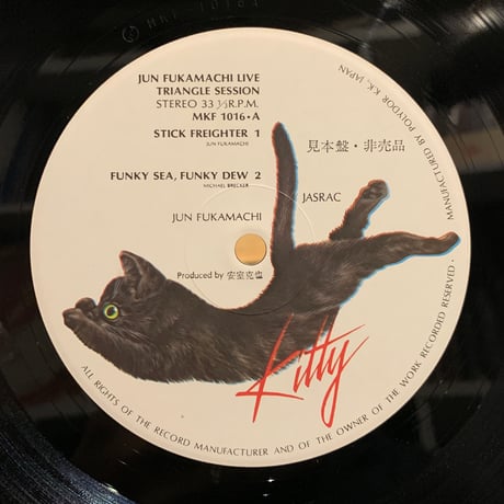 深町純 / Triangle Session (LP)