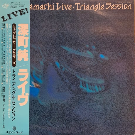 深町純 / Triangle Session (LP)