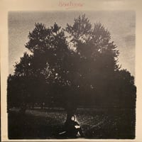 Manolo Sanlucar / Sanlucar (LP)