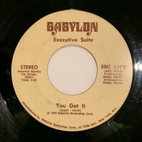 ヴァーミリオン・サンズ ウォーター・ブルー LP Amazon.co.jp: Water