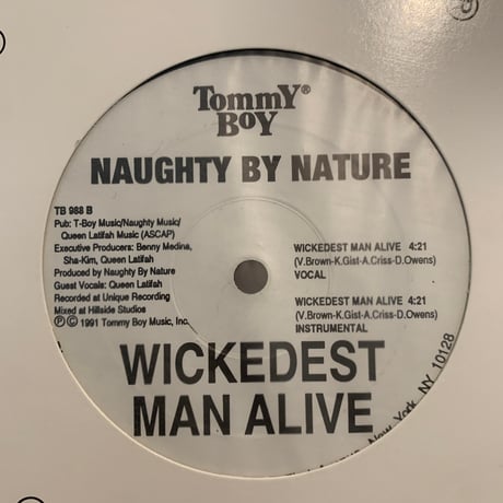 Naughty By Nature / O.P.P. (12")