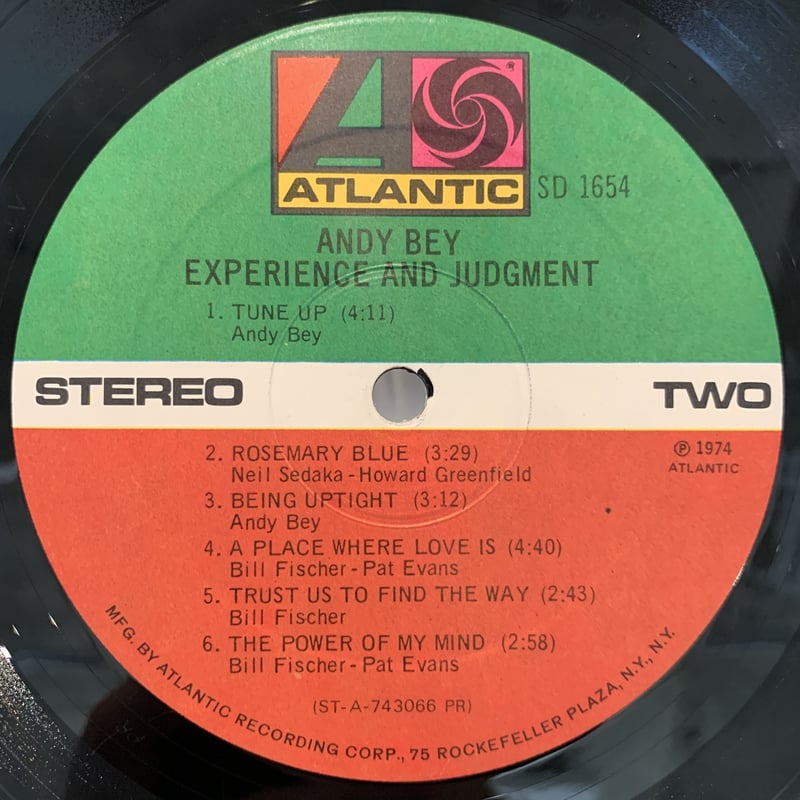 Andy Bey / Experience And Judgment (LP) | MIZO