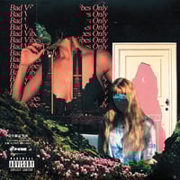 ストロベリー・パス / 大鳥が地球にやってきた日 (LP) | MIZO