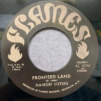 NAIROBI SISTERS / PROMISED LAND (7")